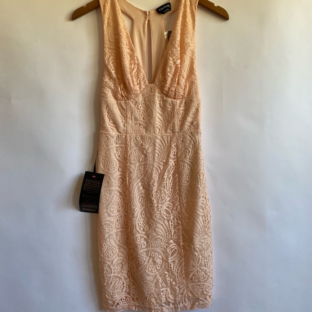 NWT Women's Bebe Lace Dress